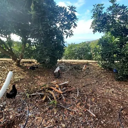 La Resbala - Casa Drago ラ・オロタバ