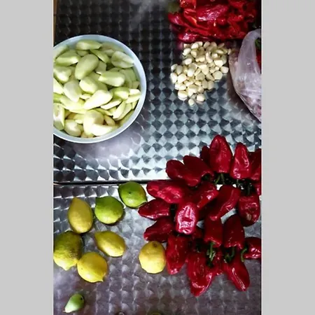 別荘 La Resbala - Casa Drago