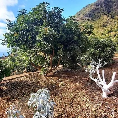 別荘 La Resbala - Casa Drago *