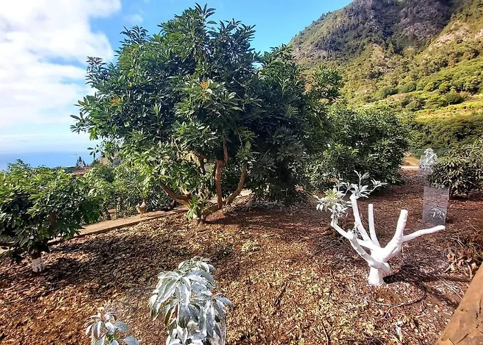 La Resbala - Casa Drago Casa vacanze La Orotava